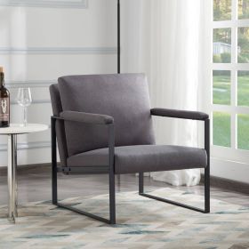 Metal Frame Accent Armchair (c0rlor: DGY)